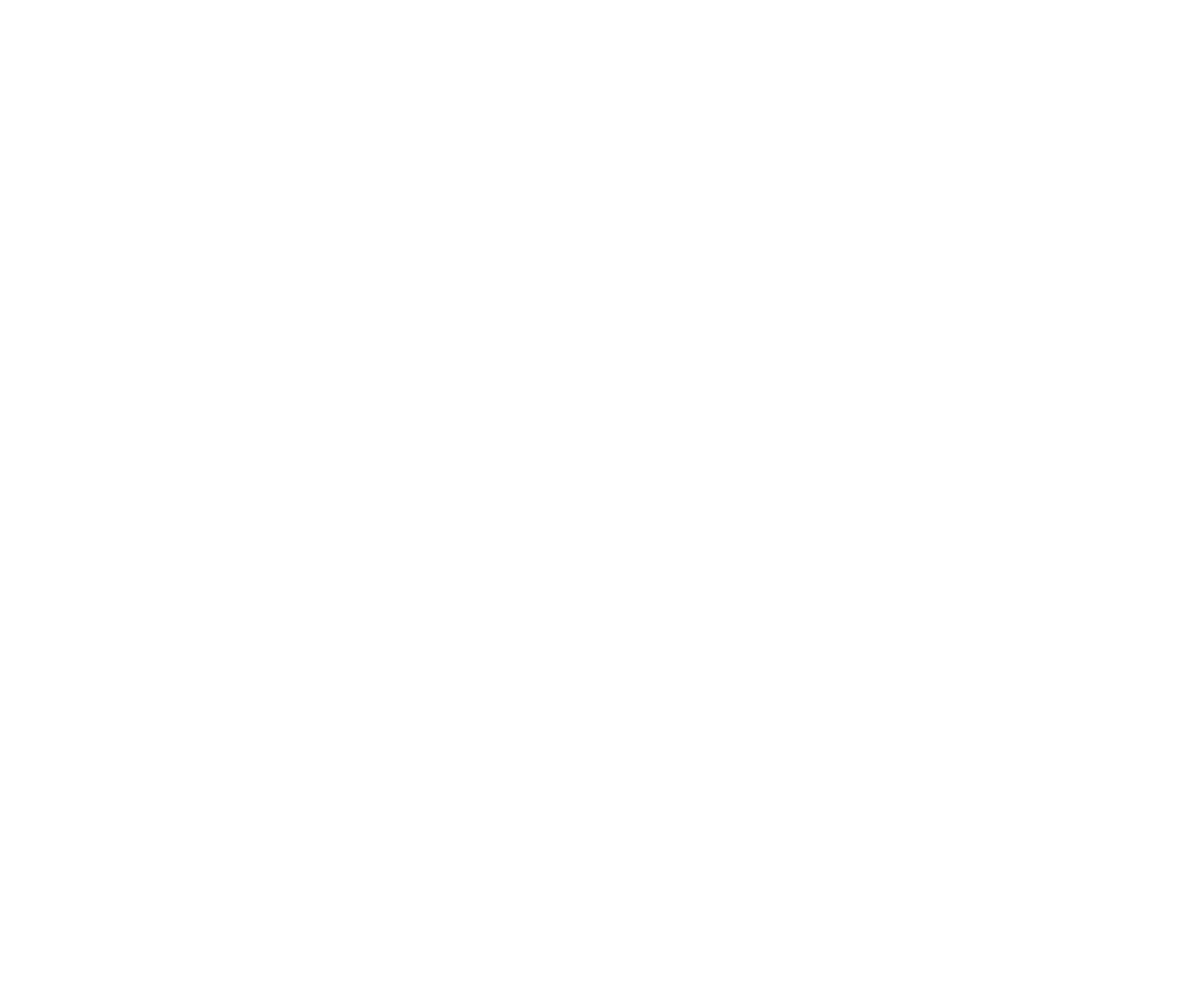 Renova Strategy Group