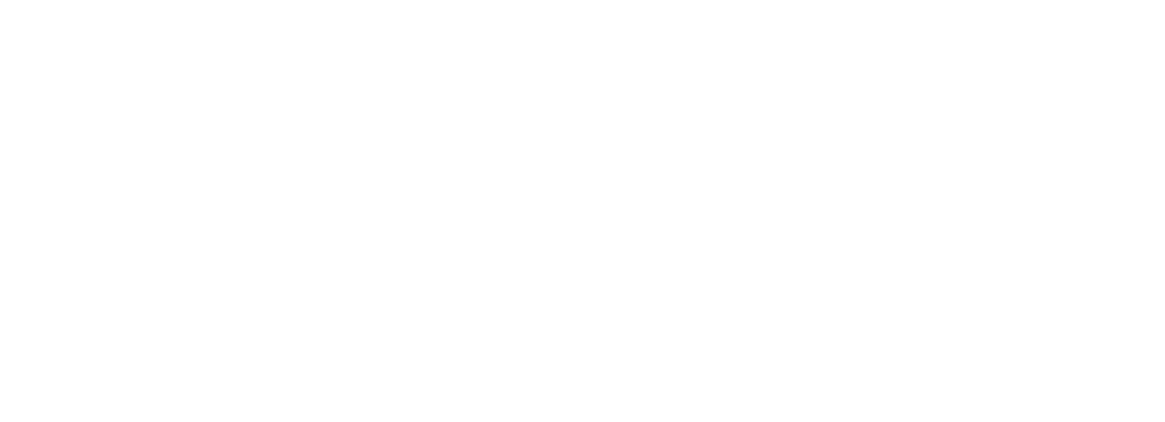 Renova Strategy Group